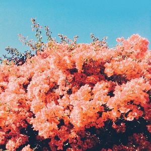 Meet your Posher, Ellen